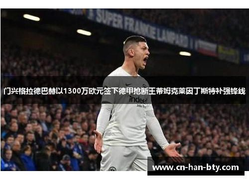 门兴格拉德巴赫以1300万欧元签下德甲抢断王蒂姆克莱因丁斯特补强锋线